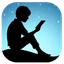 Send to Kindle icon