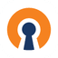 OpenVPN icon